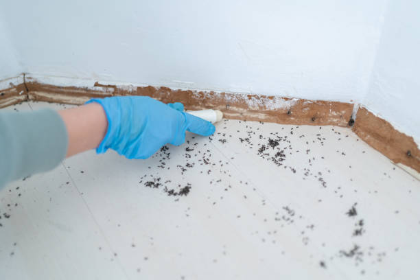 Best Best Pest Control Companies  in Melrose, MN